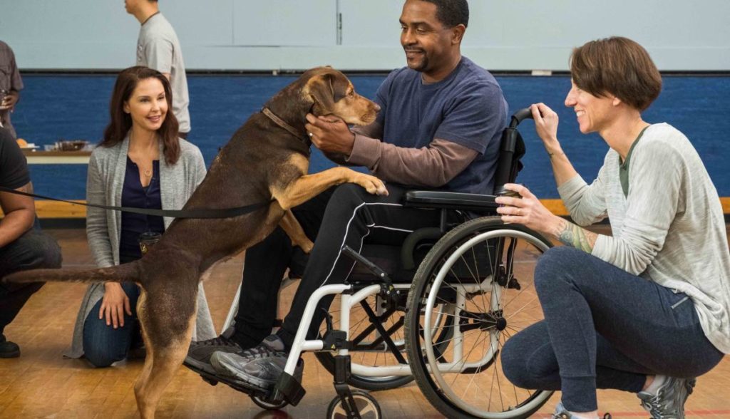 Review Mis huellas a casa