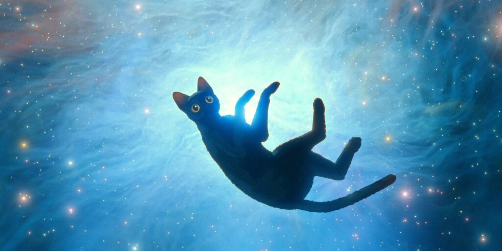 FLOW: Un hito del cine de animación contemporáneo (REVIEW)
