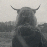 infinito super 8 festival