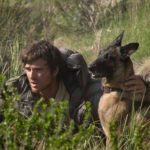 THE DOG STARS